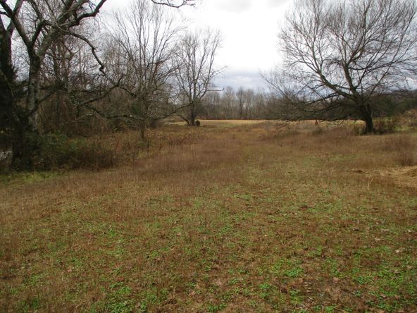 Highway 11 & County Rd 716: Highway 11 & County Rd 716, Riceville, TN 37370
